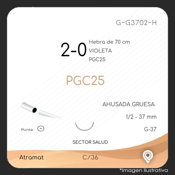 G-G3702-H-2