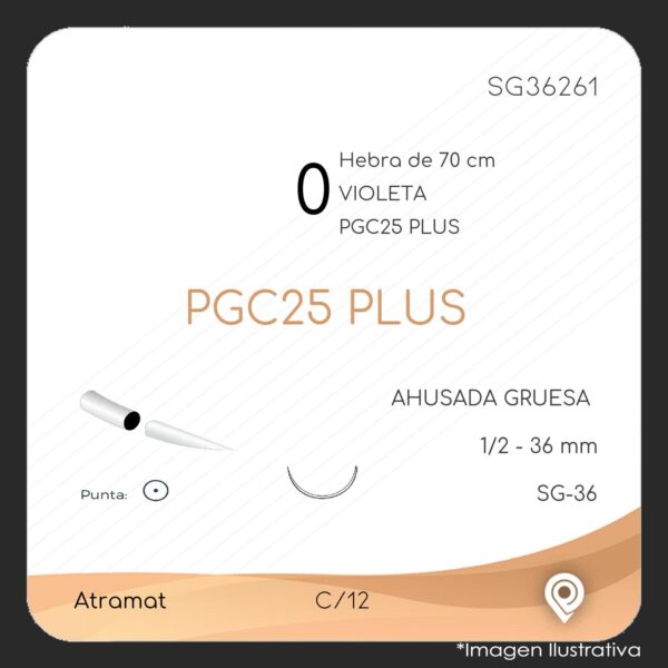 SG36261-2